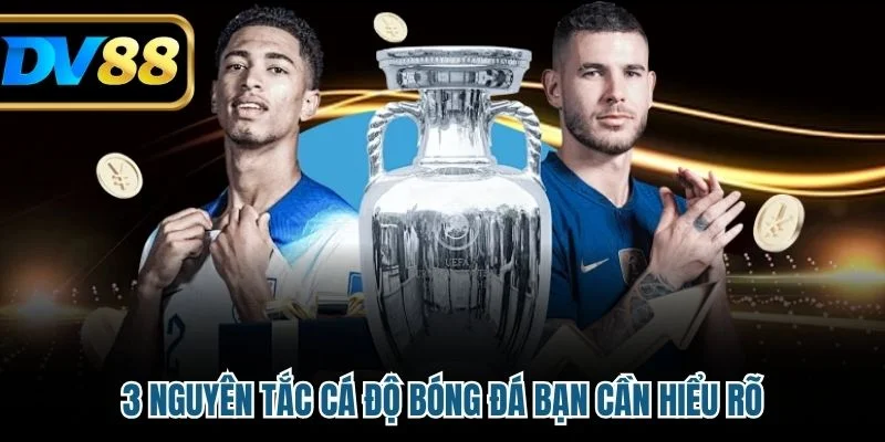 3 nguyên tắc cá độ bóng đá bạn cần hiểu rõ