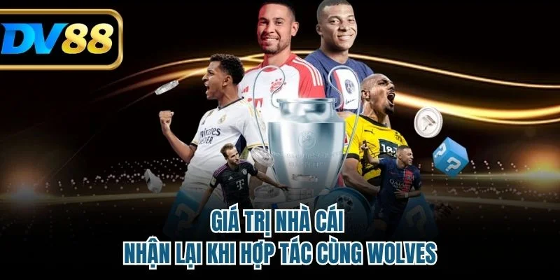 Giá trị nhà cái nhận lại khi hợp tác cùng Wolves