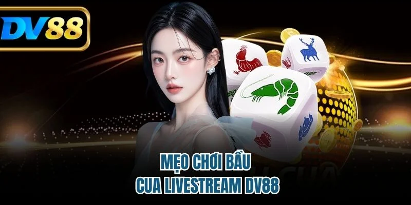 Mẹo chơi bầu cua livestream DV88