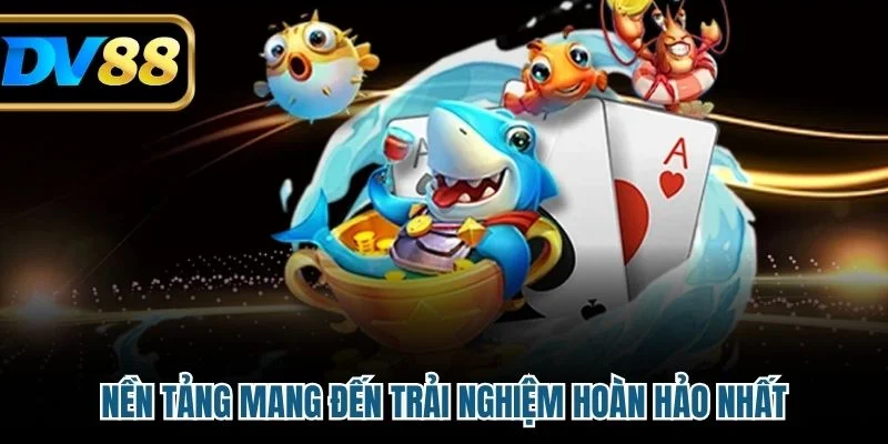Nền tảng mang đến trải nghiệm hoàn hảo nhất