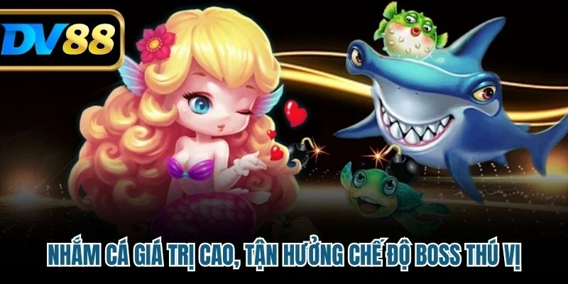 Nhắm cá giá trị cao, tận hưởng chế độ boss thú vị
