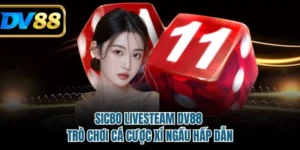 Sicbo Live Stream DV88