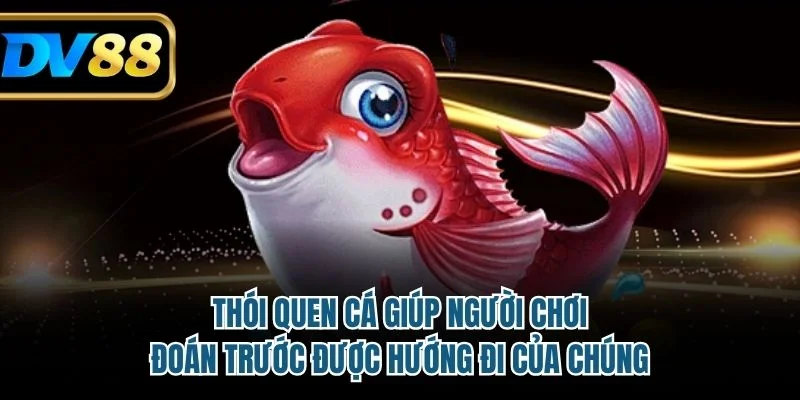 Thói quen cá giúp người chơi đoán trước được hướng đi của chúng