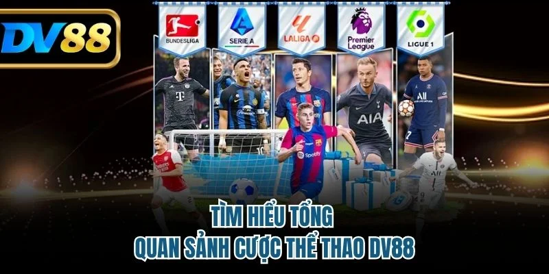 Tìm hiểu tổng quan sảnh cược thể thao DV88